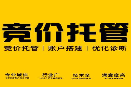 SEM推广实战案例：关键词优化与广告投放技巧